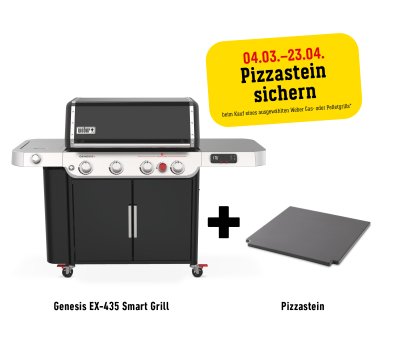 Weber Gasgrill Genesis EX-435